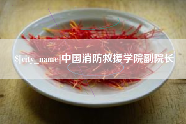 安阳中国消防救援学院副院长