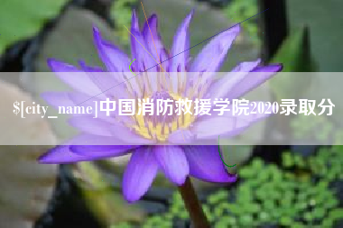 安阳中国消防救援学院2020录取分