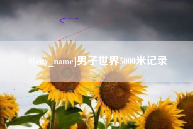 安阳男子世界5000米记录