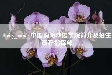安阳中国消防救援学院简介及招生章程指挥部