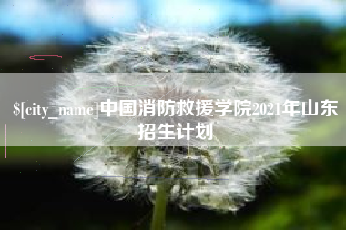 安阳中国消防救援学院2021年山东招生计划