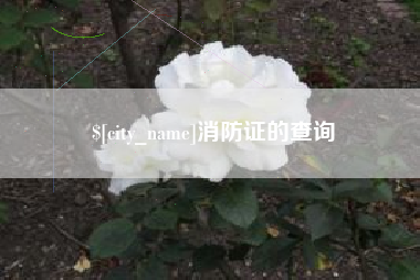 安阳消防证的查询