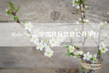 安阳中国执行信息公开平台