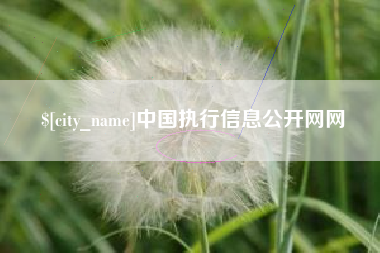 安阳中国执行信息公开网网