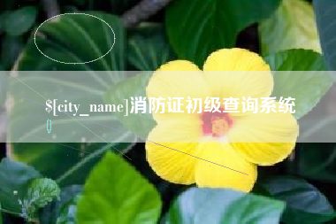 安阳消防证初级查询系统