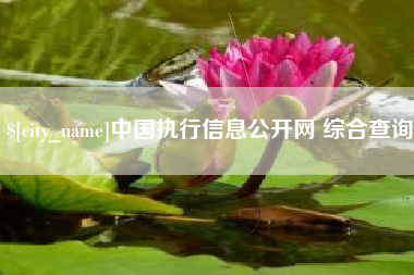 安阳中国执行信息公开网 综合查询