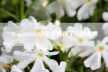 安阳中国金牌得了几枚金牌