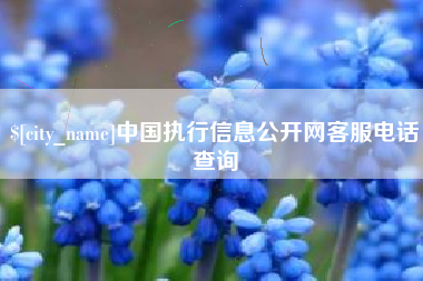安阳中国执行信息公开网客服电话查询
