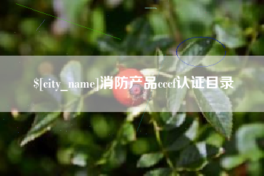 安阳消防产品cccf认证目录