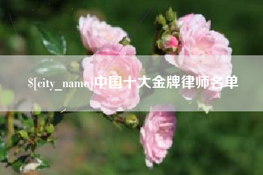安阳中国十大金牌律师名单