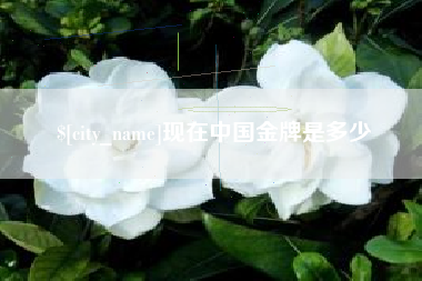 安阳现在中国金牌是多少