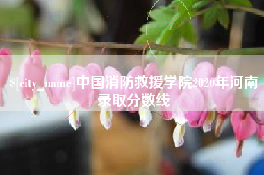 安阳中国消防救援学院2020年河南录取分数线