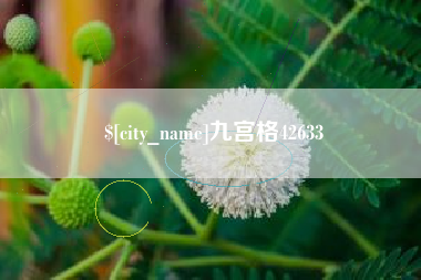 安阳九宫格42633