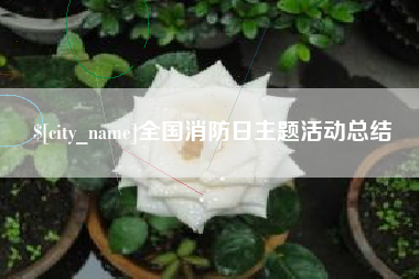 安阳全国消防日主题活动总结