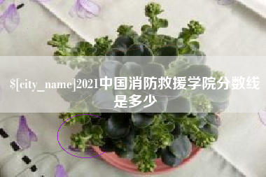 安阳2021中国消防救援学院分数线是多少