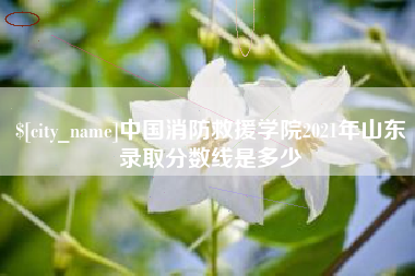 安阳中国消防救援学院2021年山东录取分数线是多少