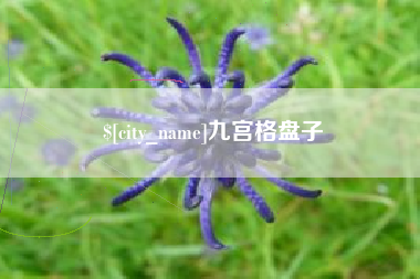 安阳九宫格盘子