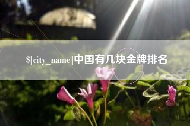 安阳中国有几块金牌排名