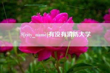 安阳有没有消防大学