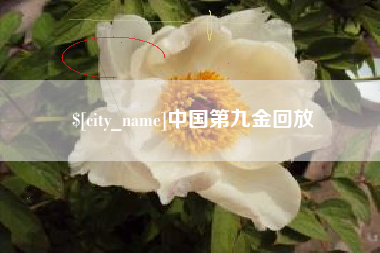 安阳中国第九金回放
