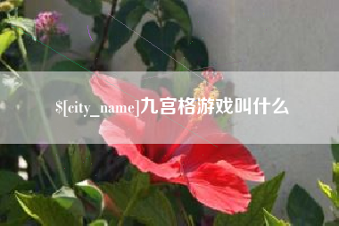 安阳九宫格游戏叫什么
