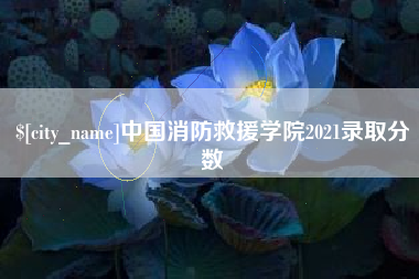 安阳中国消防救援学院2021录取分数