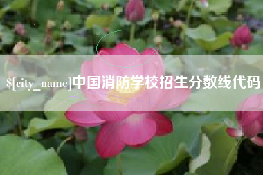 安阳中国消防学校招生分数线代码