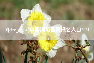 安阳中国消防官网报名入口2024