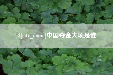 安阳中国夺金大项是谁
