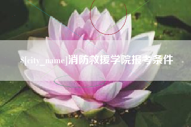 安阳消防救援学院报考条件