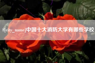 安阳中国十大消防大学有哪些学校