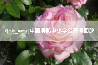 安阳中国消防中小学公开课回放
