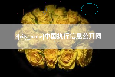 安阳中国执行信息公开网