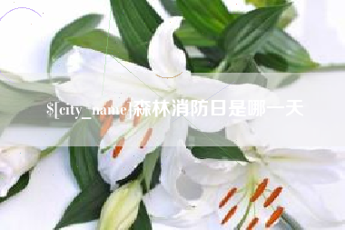 安阳森林消防日是哪一天