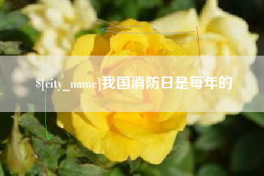 安阳我国消防日是每年的