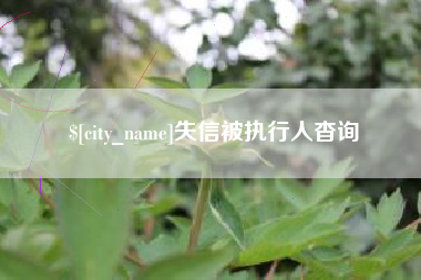 安阳失信被执行人杳询