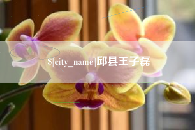 安阳邱县王子磊