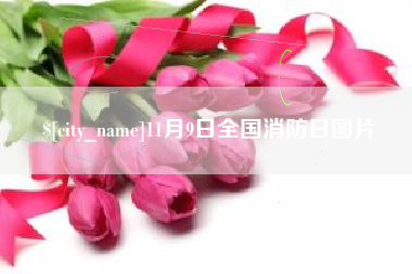 安阳11月9日全国消防日图片