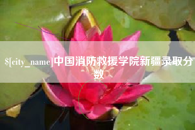 安阳中国消防救援学院新疆录取分数