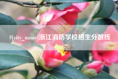 安阳浙江消防学校招生分数线