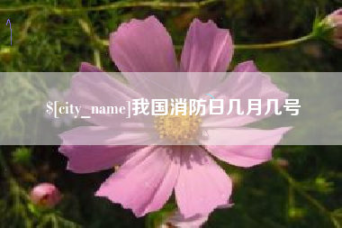 安阳我国消防日几月几号