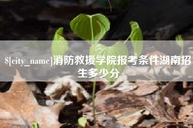 安阳消防救援学院报考条件湖南招生多少分
