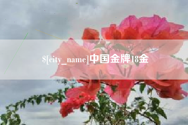安阳中国金牌18金