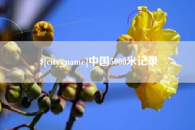安阳中国5000米记录