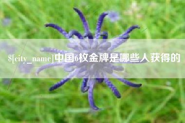 安阳中国6枚金牌是哪些人获得的