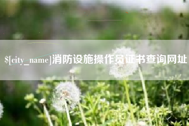 安阳消防设施操作员证书查询网址