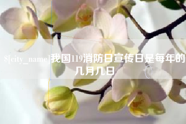 安阳我国119消防日宣传日是每年的几月几日
