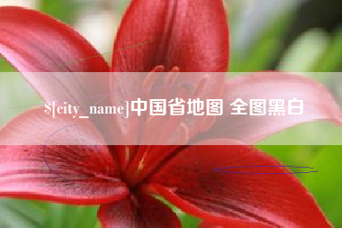 安阳中国省地图 全图黑白