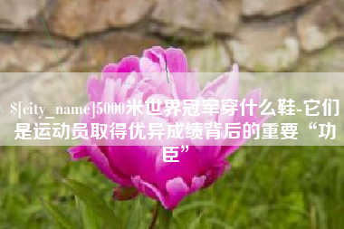 安阳5000米世界冠军穿什么鞋-它们是运动员取得优异成绩背后的重要“功臣”