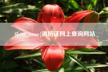 安阳消防证网上查询网站